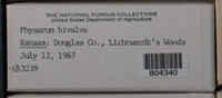 Image Associated With the Occurence